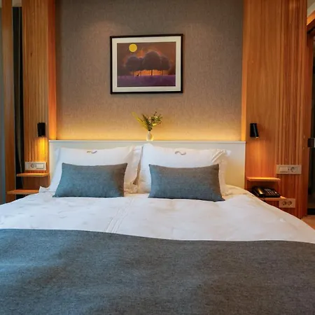 Hotel Ruka Narlidere